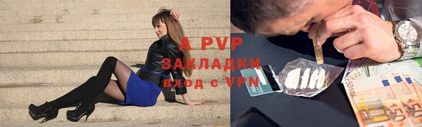 шишки Осташков