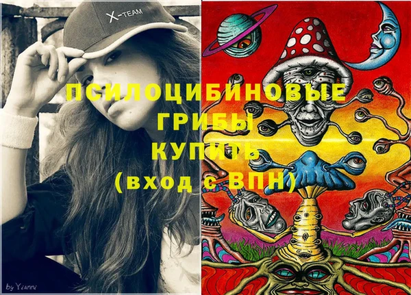 мяу мяу кристалл Переславль-Залесский