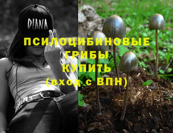 мяу мяу кристалл Переславль-Залесский