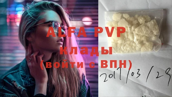 индика Ветлуга