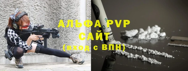 шишки Осташков