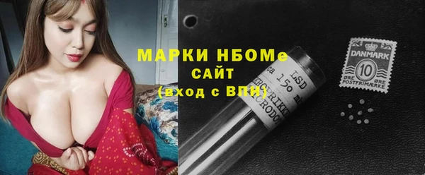 шишки Осташков