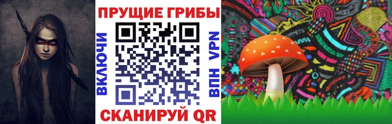Псилоцибиновые грибы мицелий  как найти   Апшеронск 