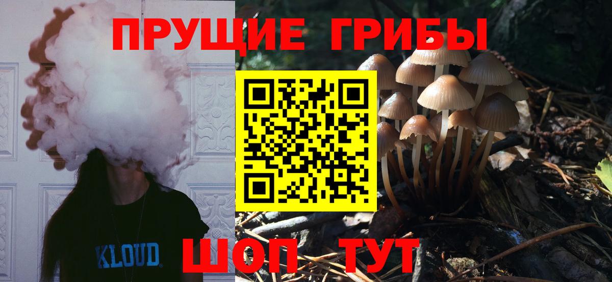 Галлюциногенные грибы Psilocybine cubensis  Вход с VPN  Псилоцибиновые грибы прущие грибы  Апшеронск 